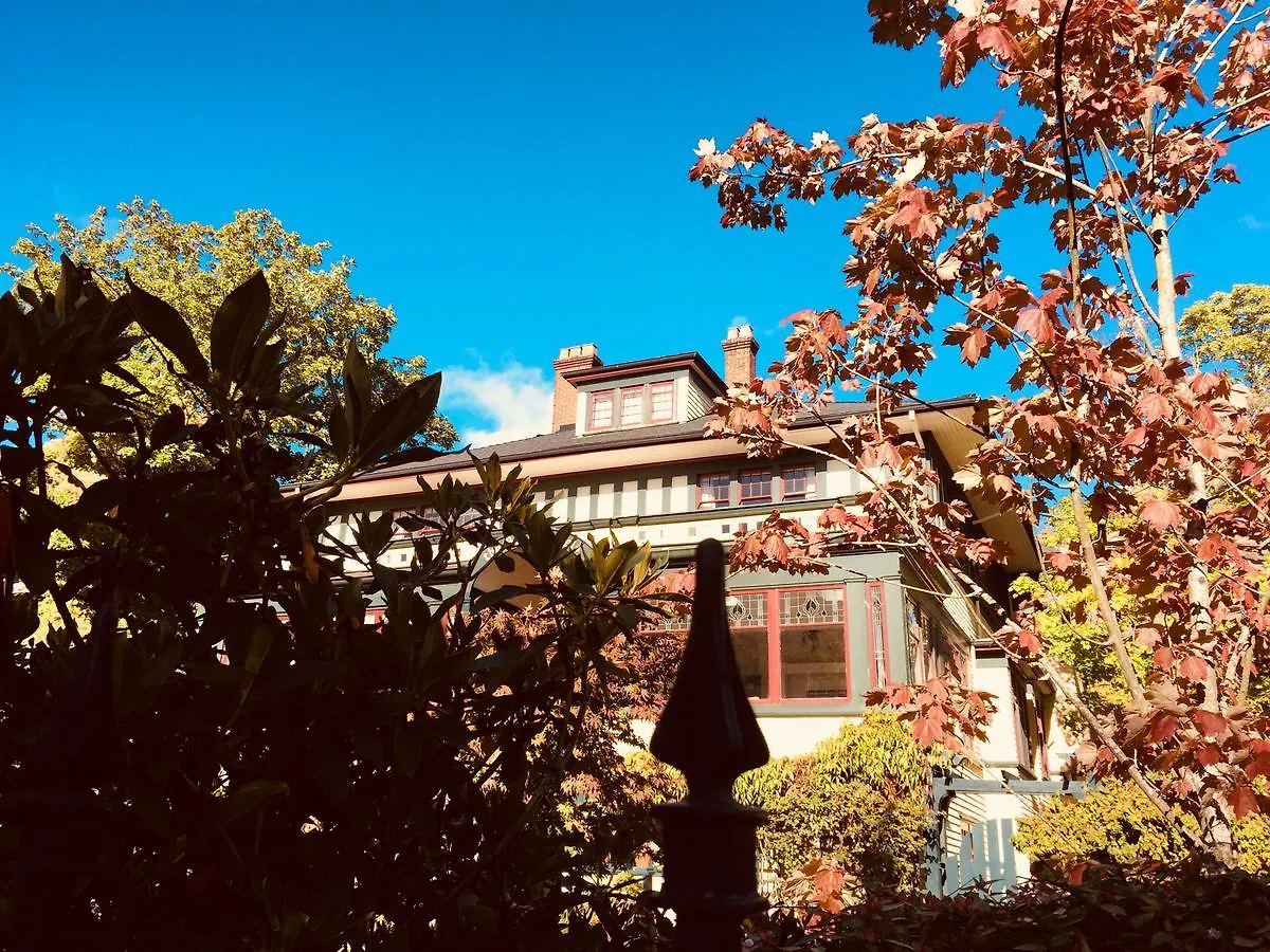 Beaconsfield Bed And Breakfast - Victoria Couette-café